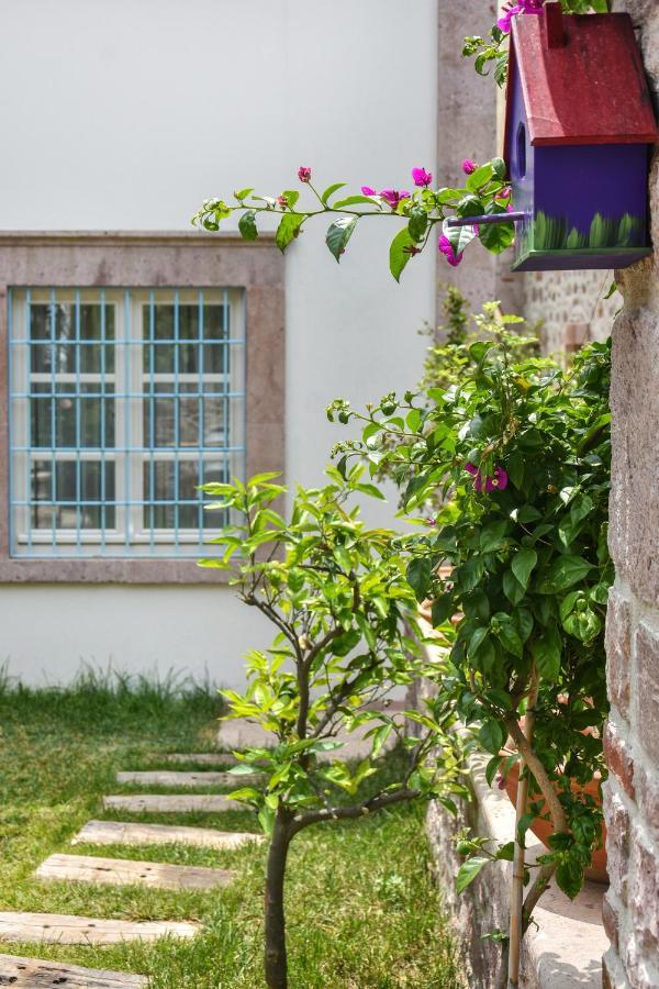Lunaria Guest House Ayvalı Zewnętrze zdjęcie