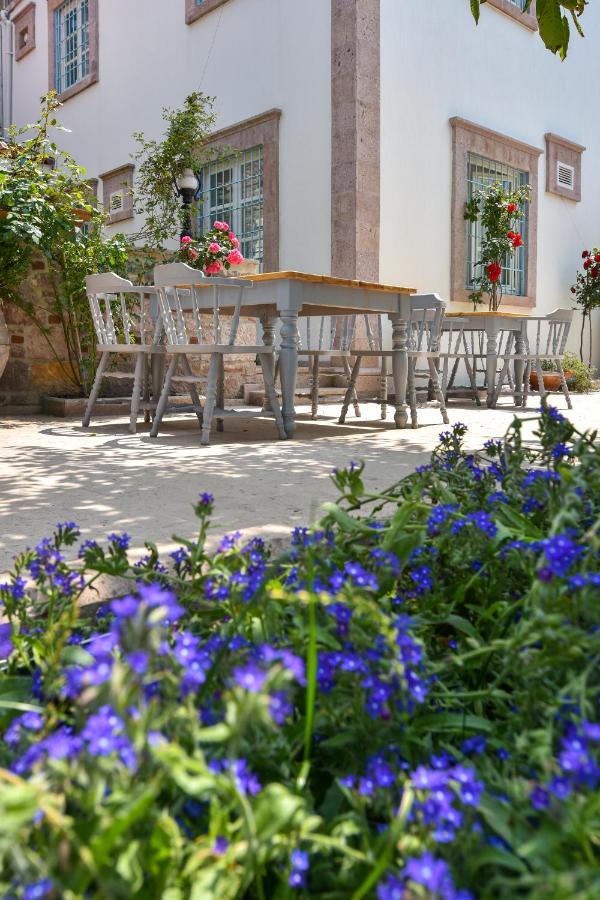 Lunaria Guest House Ayvalı Zewnętrze zdjęcie